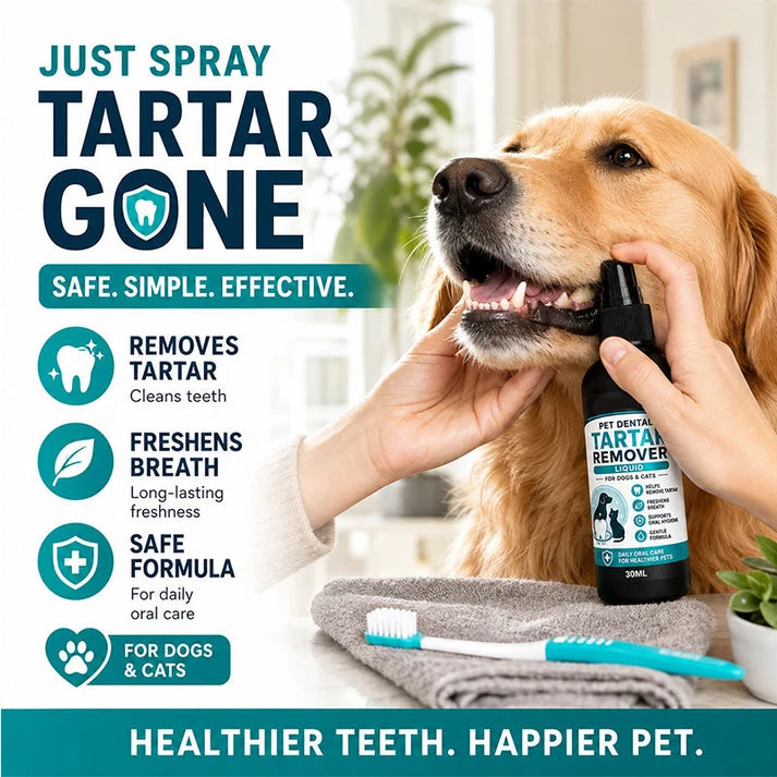 🐾50% OFF NOW! Gentle Pet Dental Cleaning Spray
